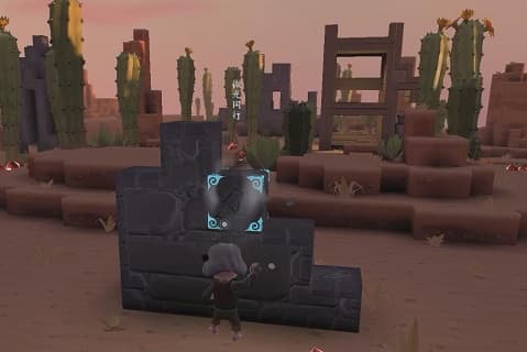 07.jpg